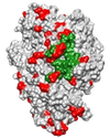 Pic 1. 20160716 Virus and the DNA Strand
