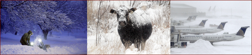 Pic 2. 20160109 Winter Storms- Bella, Hera
