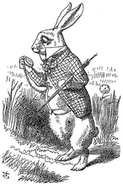 Rabbit (solo)