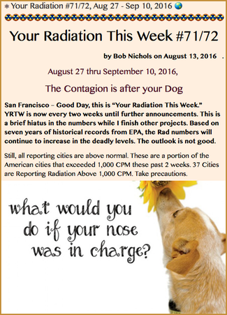 TITLE- Your Radiation #71/72, Aug 27 - Sep 10, 2016